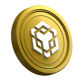 Kryptowaluta BNB widoczna na stronie poradnika dla początkujących traderów